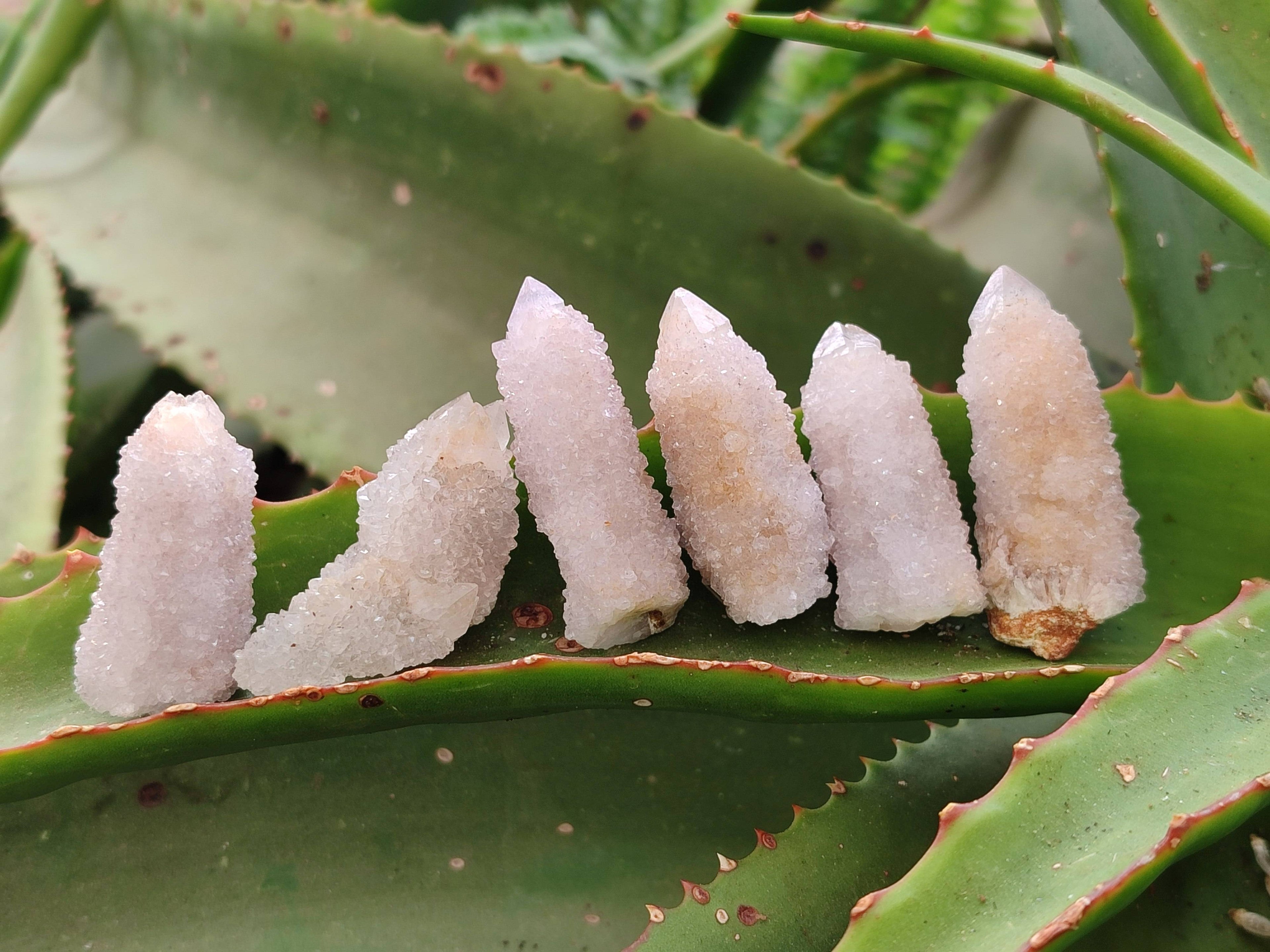 Natural Spirit Quartz Crystals x 35 From South Africa - Toprock Gemstones and Minerals 