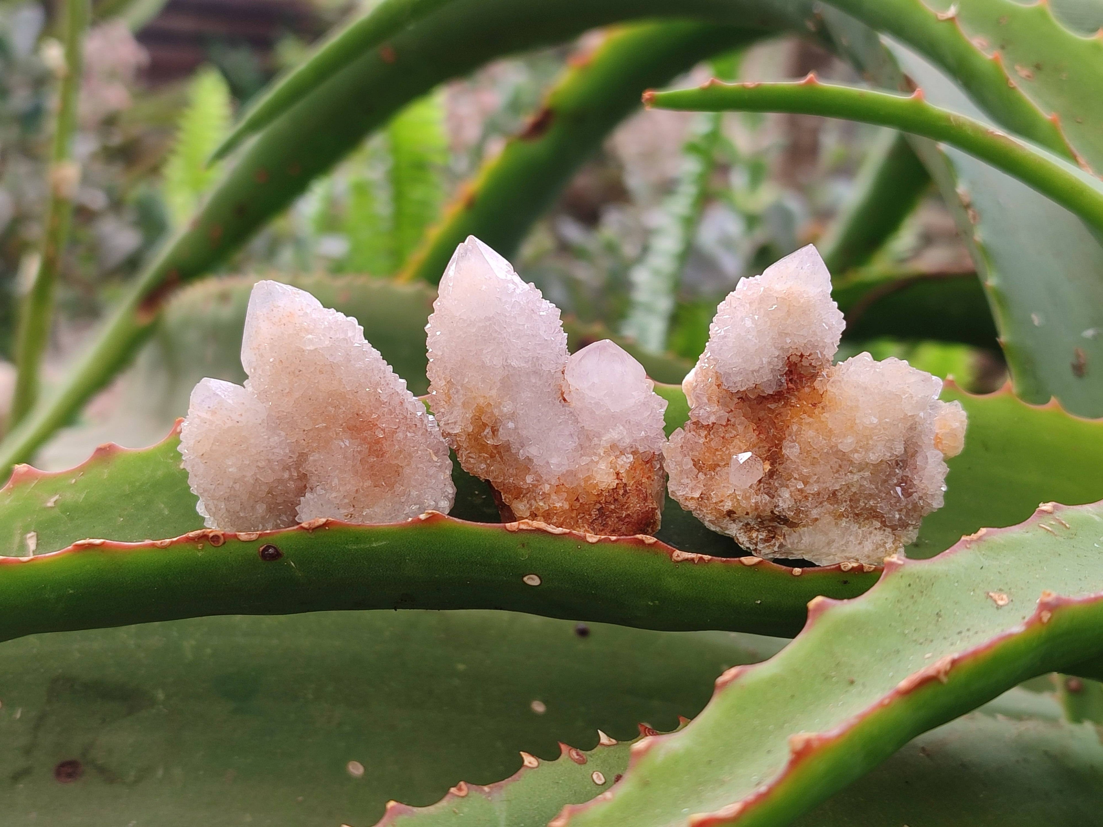 Natural Spirit Quartz Crystals x 35 From South Africa - Toprock Gemstones and Minerals 