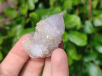 Natural Spirit Quartz Crystals x 35 From South Africa