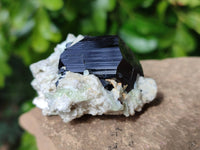 Natural Schorl Black Tourmaline Specimens x 6 From Namibia - Toprock Gemstones and Minerals 