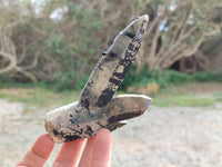 Natural Schorl Black Tourmaline Specimens x 6 From Namibia - Toprock Gemstones and Minerals 