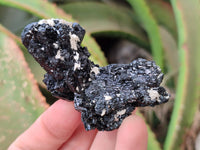 Natural Schorl Black Tourmaline Specimens x 6 From Namibia - Toprock Gemstones and Minerals 