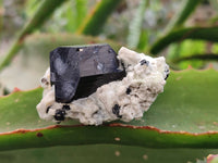 Natural Schorl Black Tourmaline Specimens x 6 From Namibia - Toprock Gemstones and Minerals 