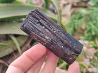 Natural Schorl Black Tourmaline Specimens x 6 From Namibia - Toprock Gemstones and Minerals 