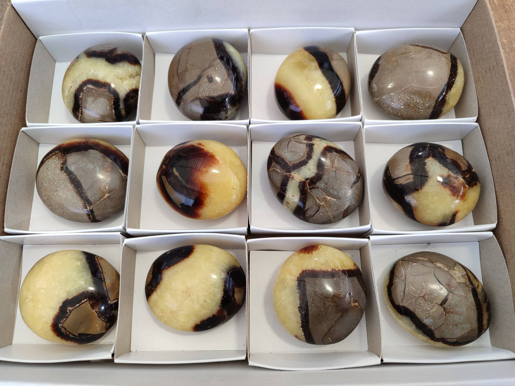 Polished Septerye Palm Stones x 12 From Madagascar - Toprock Gemstones and Minerals 