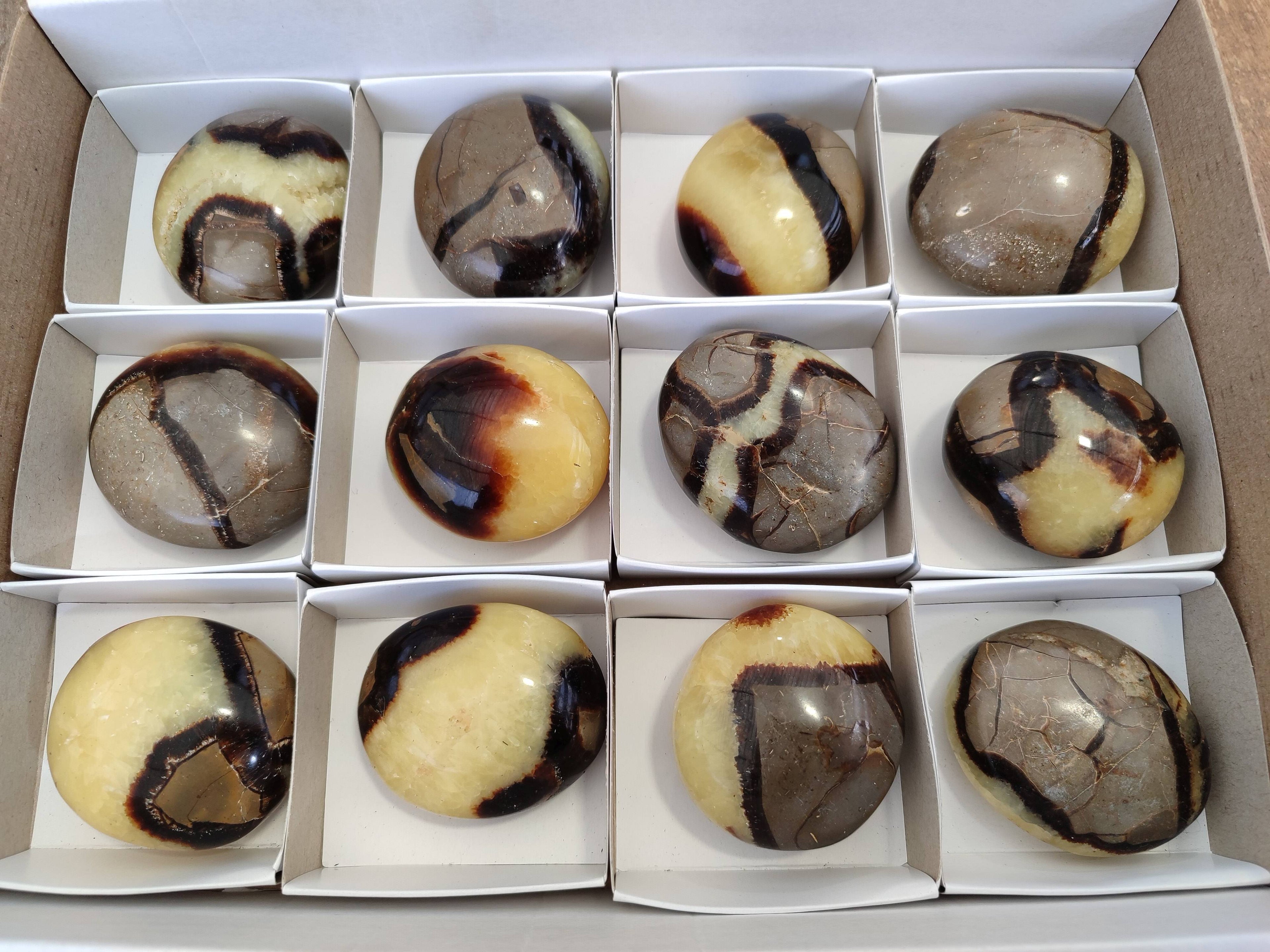 Polished Septerye Palm Stones x 12 From Madagascar - Toprock Gemstones and Minerals 