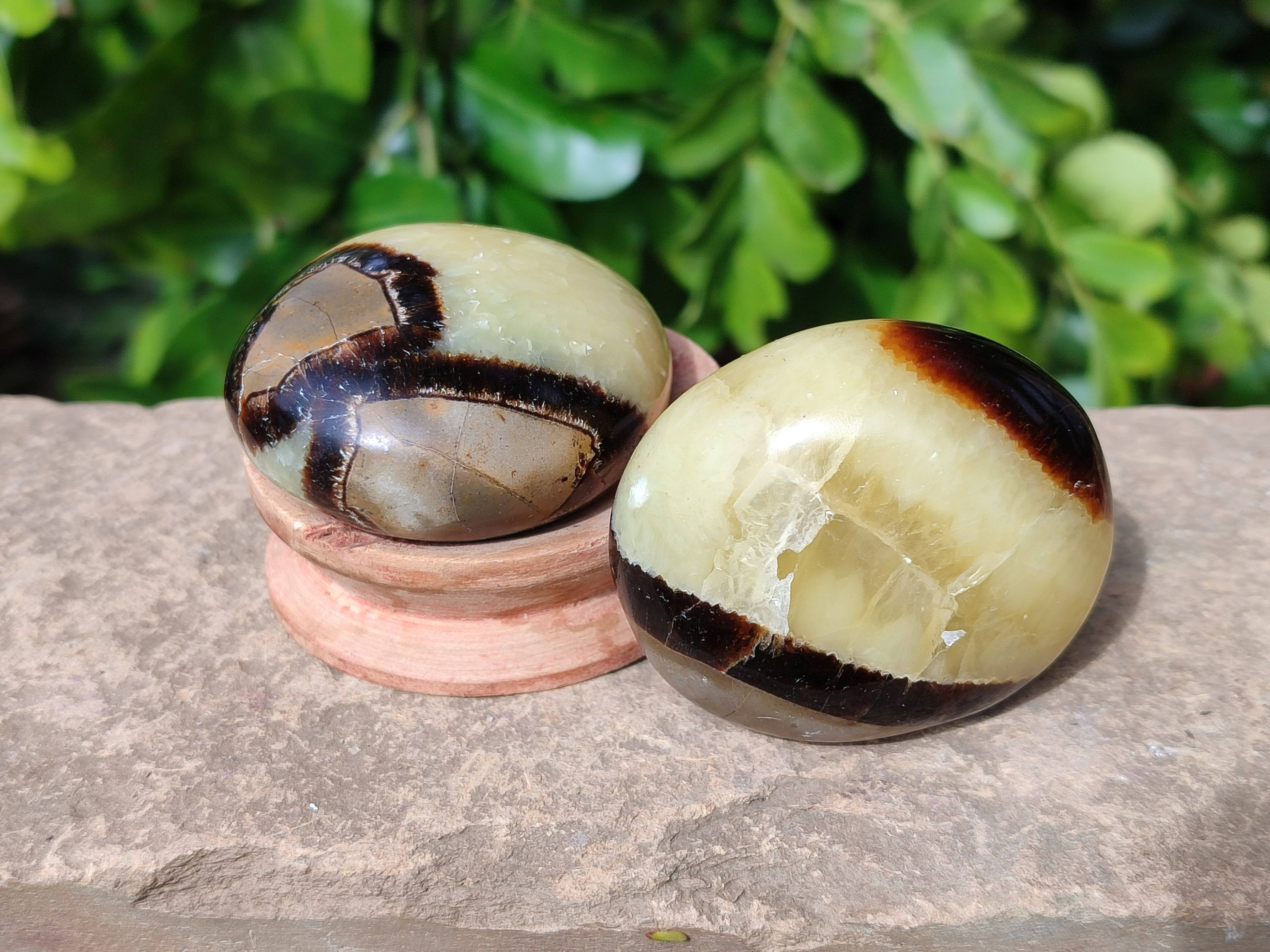 Polished Septerye Palm Stones x 12 From Madagascar - Toprock Gemstones and Minerals 