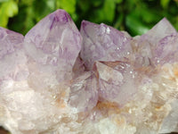 Natural Amethyst Spirit Quartz Clusters x 2 From South Africa - Toprock Gemstones and Minerals 