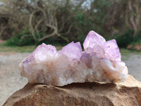 Natural Amethyst Spirit Quartz Clusters x 2 From South Africa - Toprock Gemstones and Minerals 