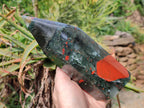 Polished Bloodstone Point x 1 From Swaziland - Toprock Gemstones and Minerals 