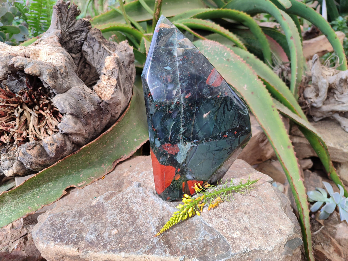 Polished Bloodstone Point x 1 From Swaziland - Toprock Gemstones and Minerals 