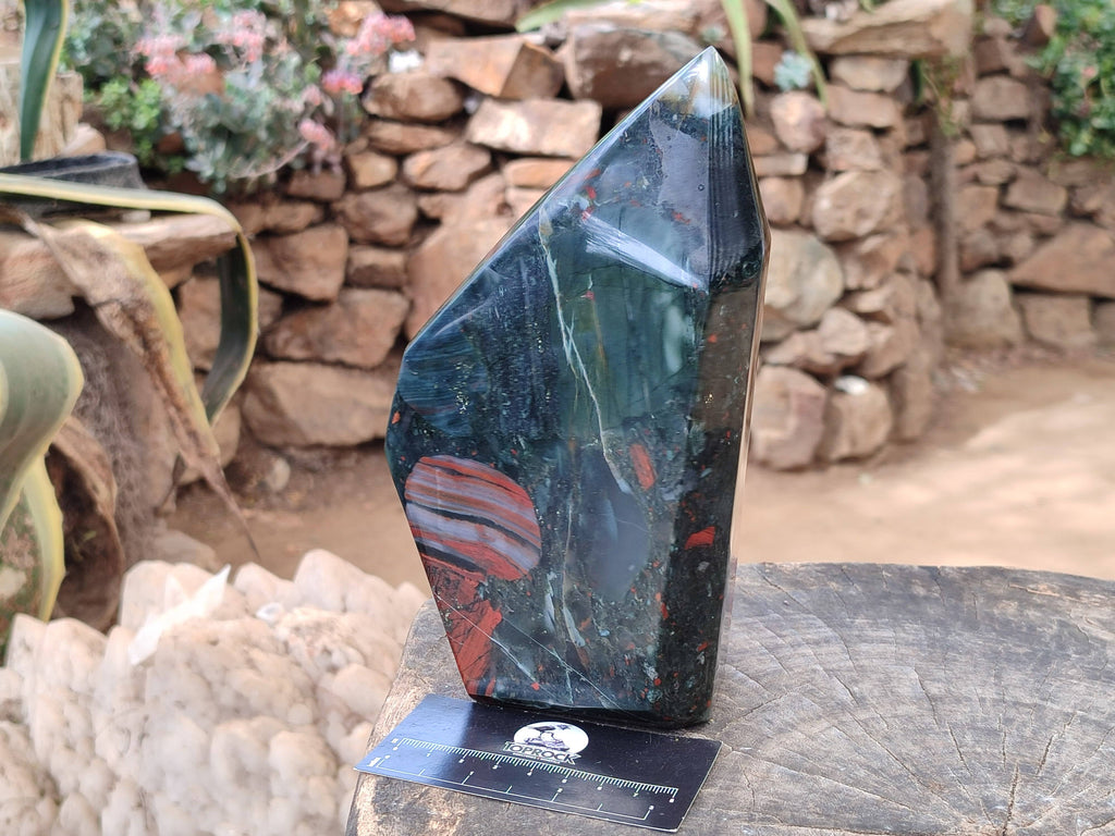 Polished Bloodstone Point x 1 From Swaziland - Toprock Gemstones and Minerals 