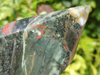Polished Bloodstone Point x 1 From Swaziland - Toprock Gemstones and Minerals 