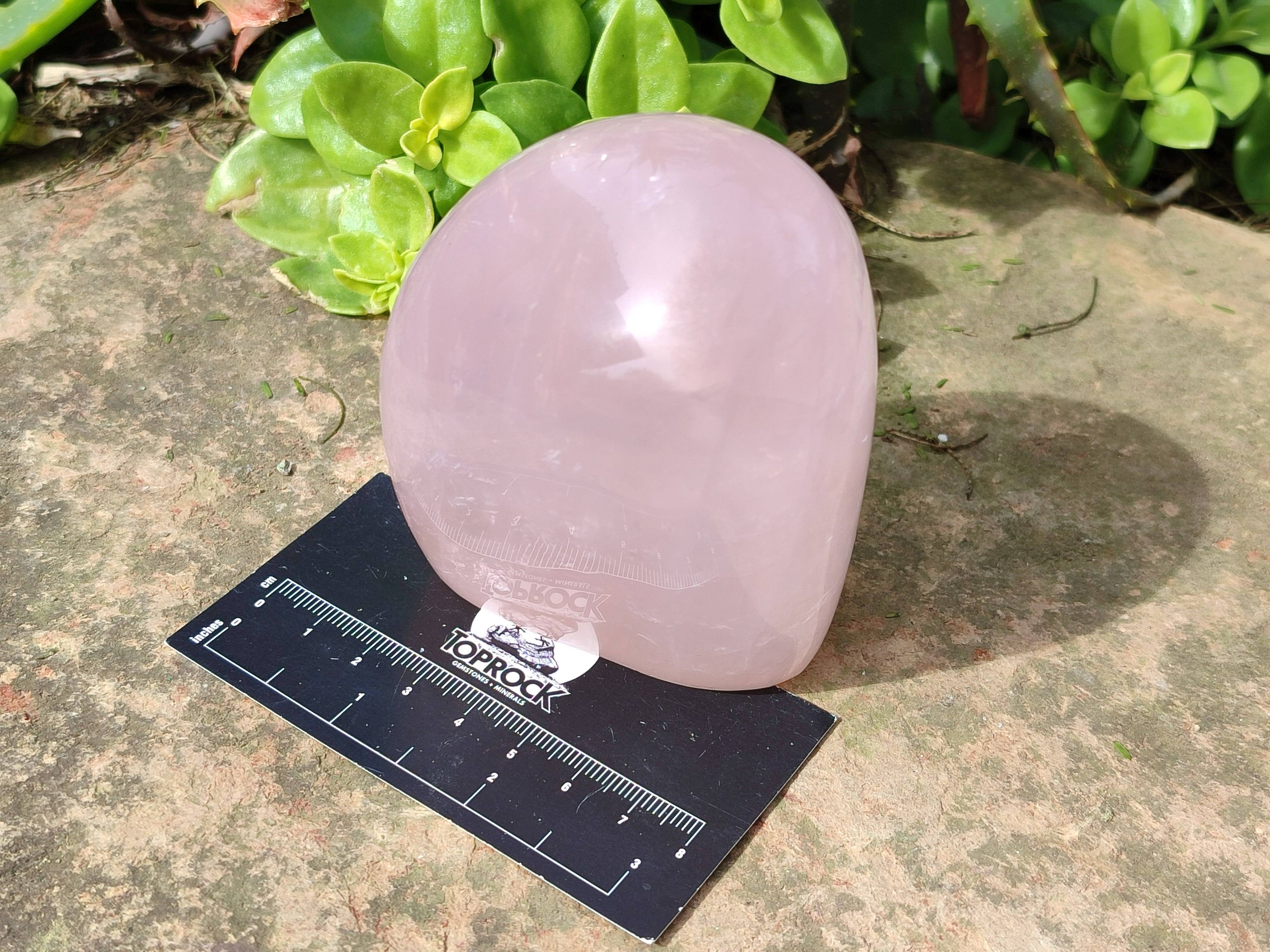 Polished Rose Quartz Standing Free Forms x 2 From Madagascar - Toprock Gemstones and Minerals 