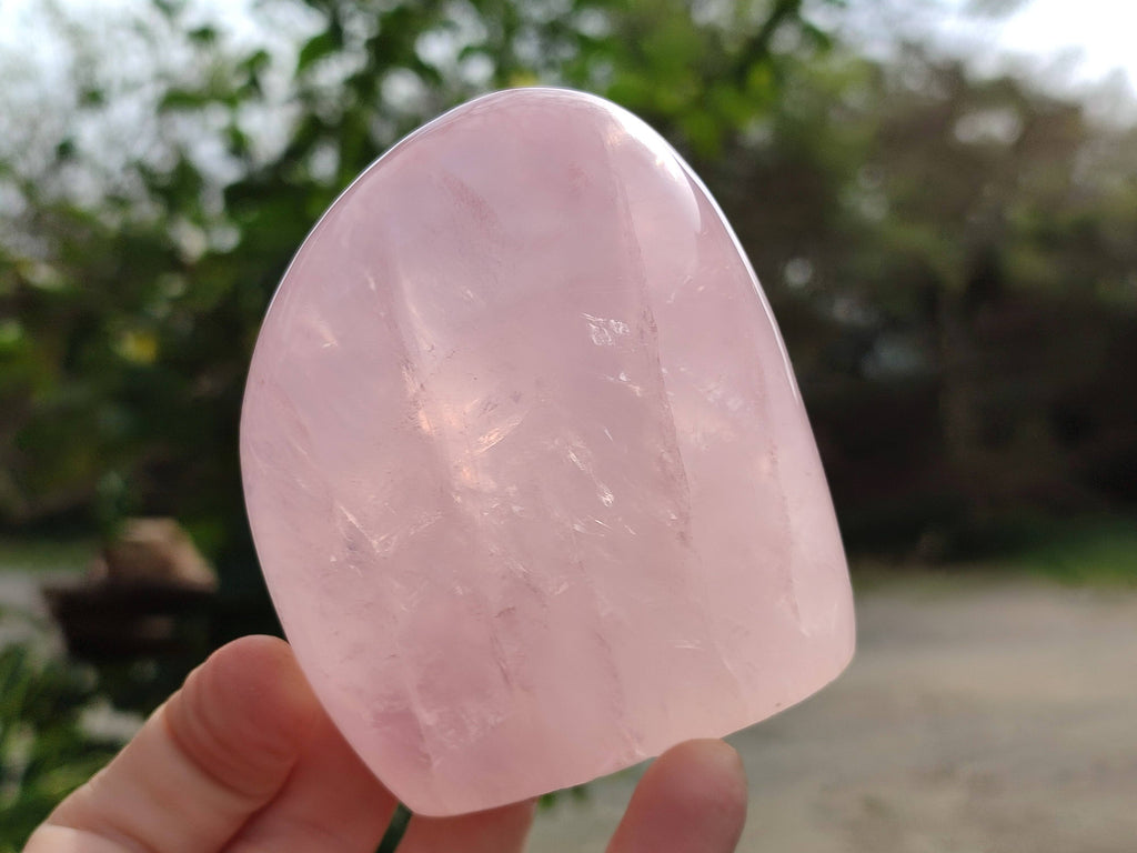 Polished Rose Quartz Standing Free Forms x 2 From Madagascar - Toprock Gemstones and Minerals 
