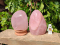 Polished Rose Quartz Standing Free Forms x 2 From Madagascar - Toprock Gemstones and Minerals 