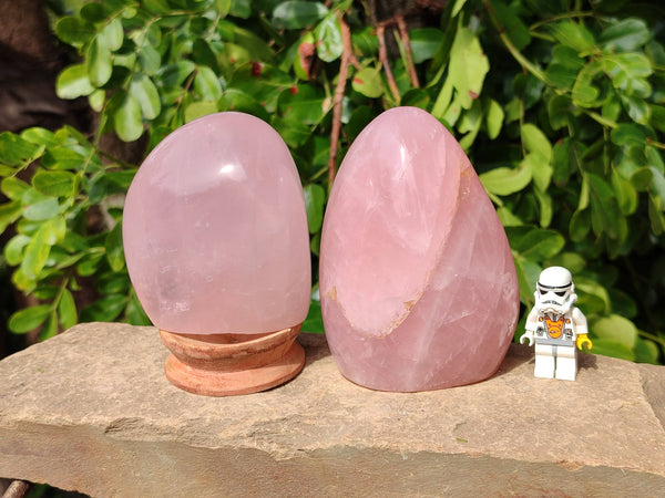 Polished Rose Quartz Standing Free Forms x 2 From Madagascar