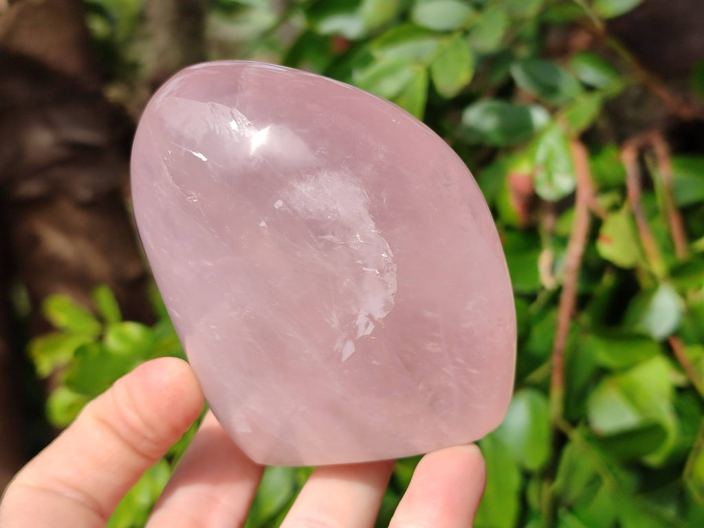 Polished Rose Quartz Standing Free Forms x 2 From Madagascar - Toprock Gemstones and Minerals 