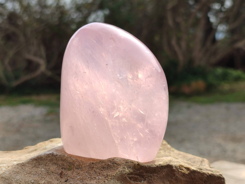 Polished Rose Quartz Standing Free Forms x 2 From Madagascar - Toprock Gemstones and Minerals 