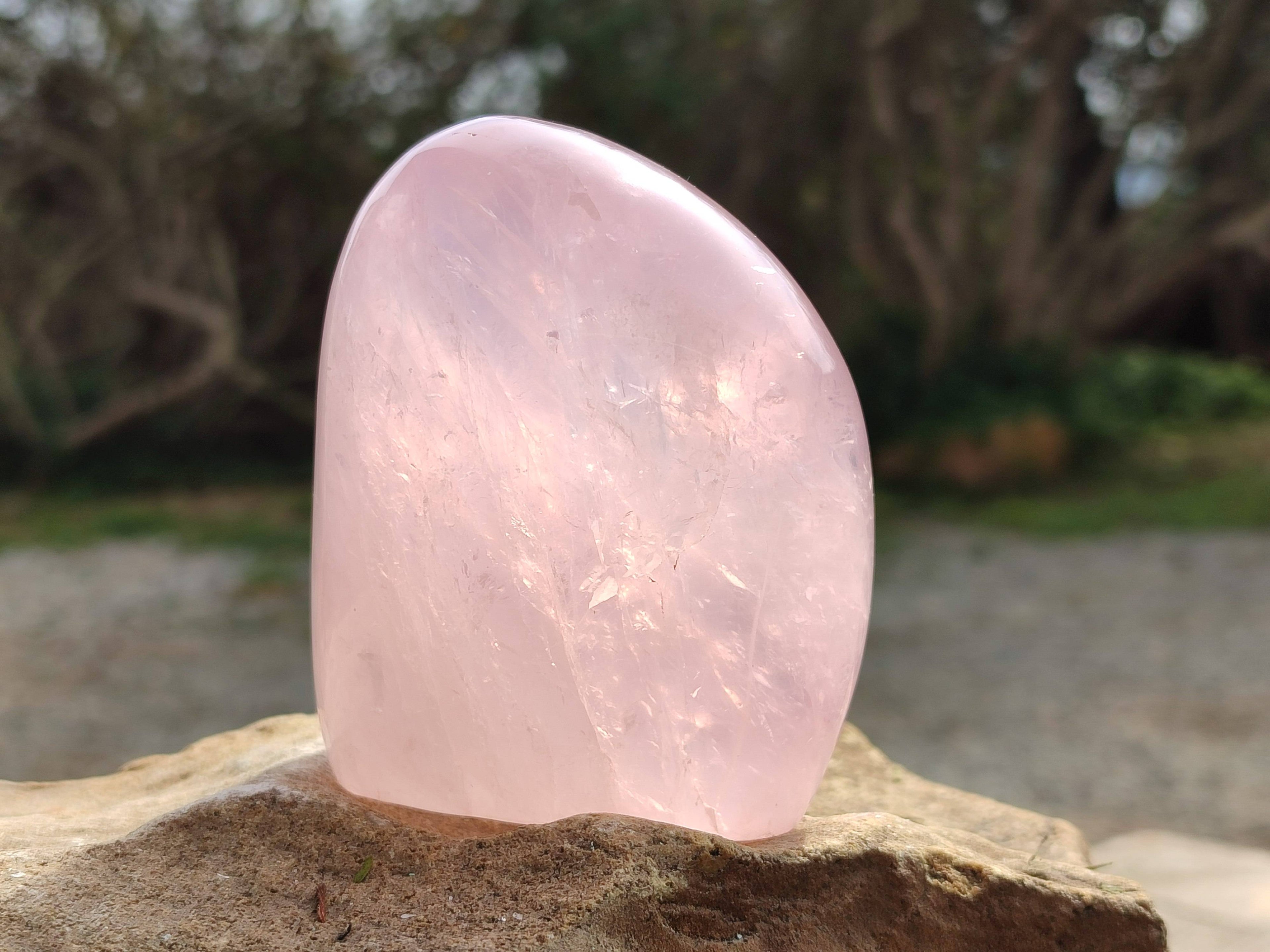 Polished Rose Quartz Standing Free Forms x 2 From Madagascar - Toprock Gemstones and Minerals 