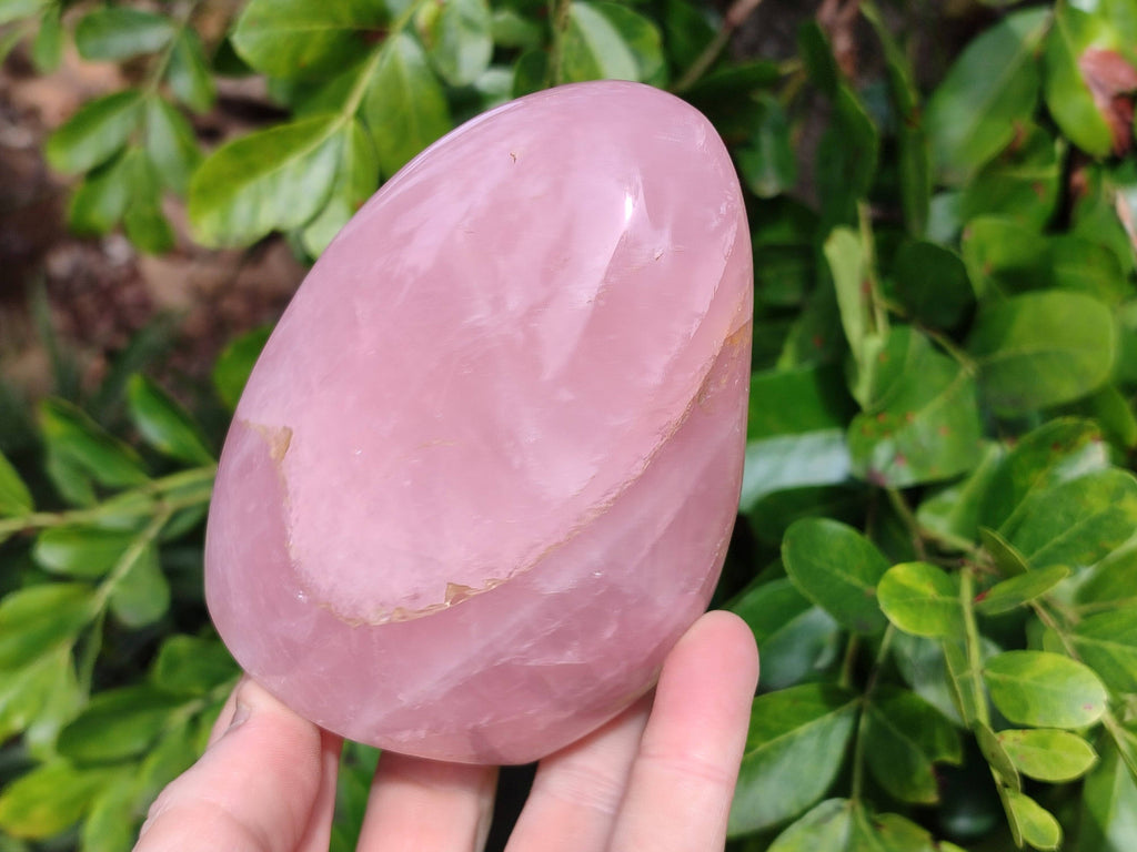 Polished Rose Quartz Standing Free Forms x 2 From Madagascar - Toprock Gemstones and Minerals 