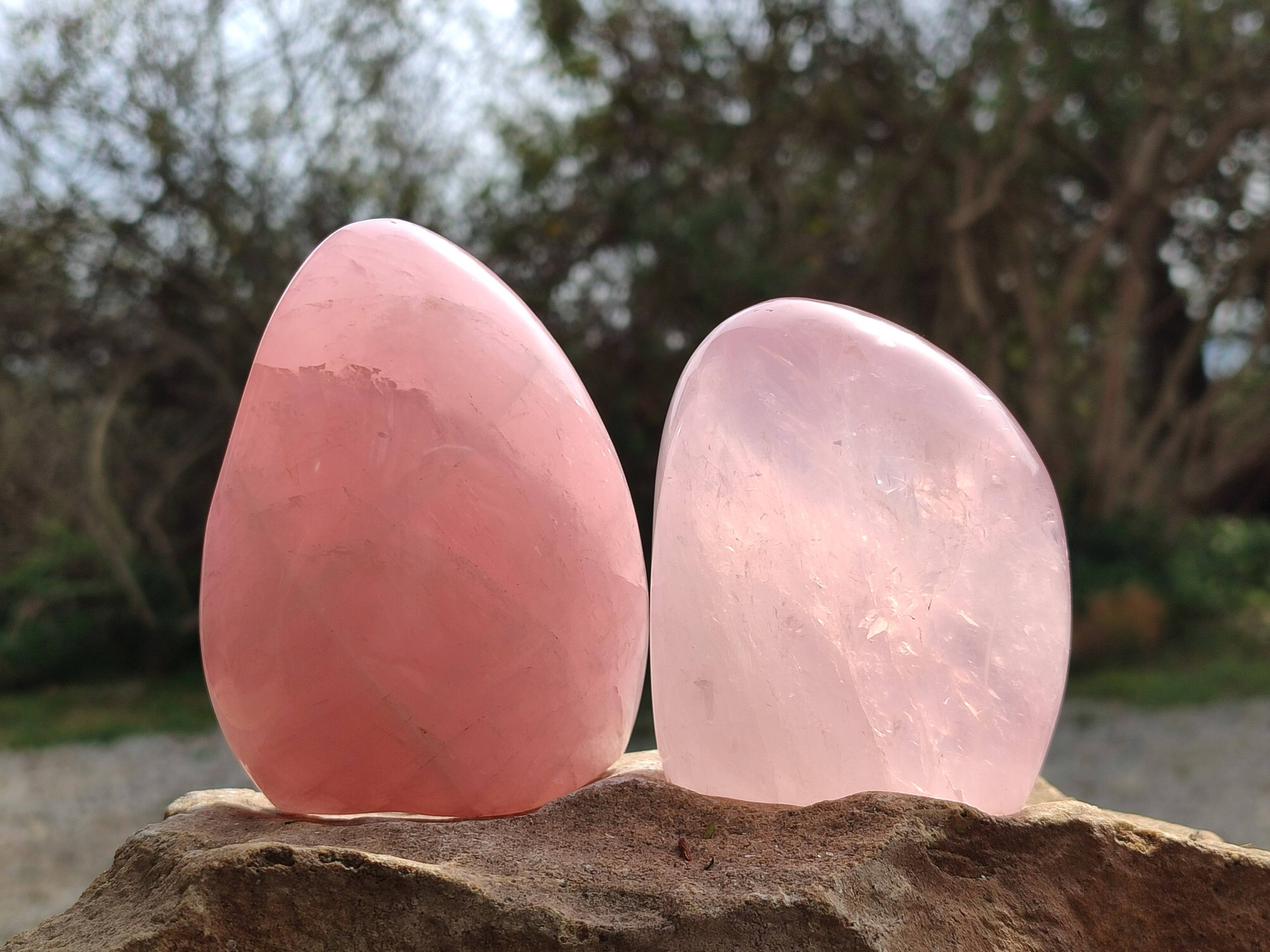 Polished Rose Quartz Standing Free Forms x 2 From Madagascar - Toprock Gemstones and Minerals 