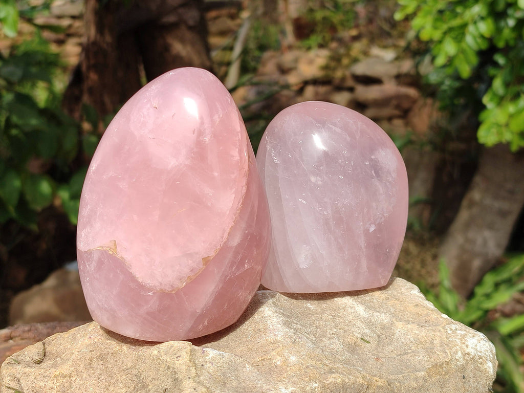 Polished Rose Quartz Standing Free Forms x 2 From Madagascar - Toprock Gemstones and Minerals 