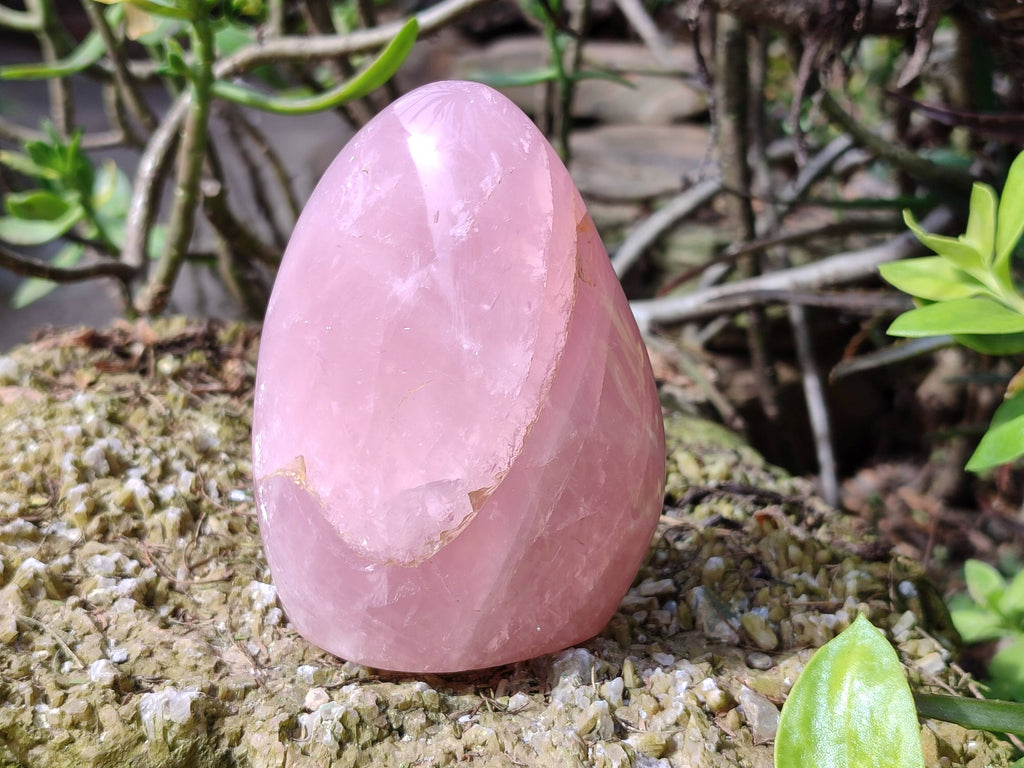 Polished Rose Quartz Standing Free Forms x 2 From Madagascar - Toprock Gemstones and Minerals 