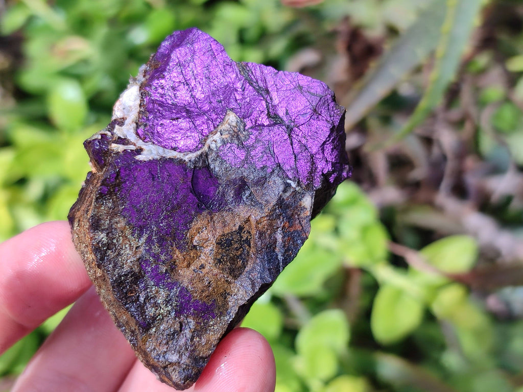 Natural Metallic Purpurite Specimens x 12 From Erongo, Namibia - Toprock Gemstones and Minerals 