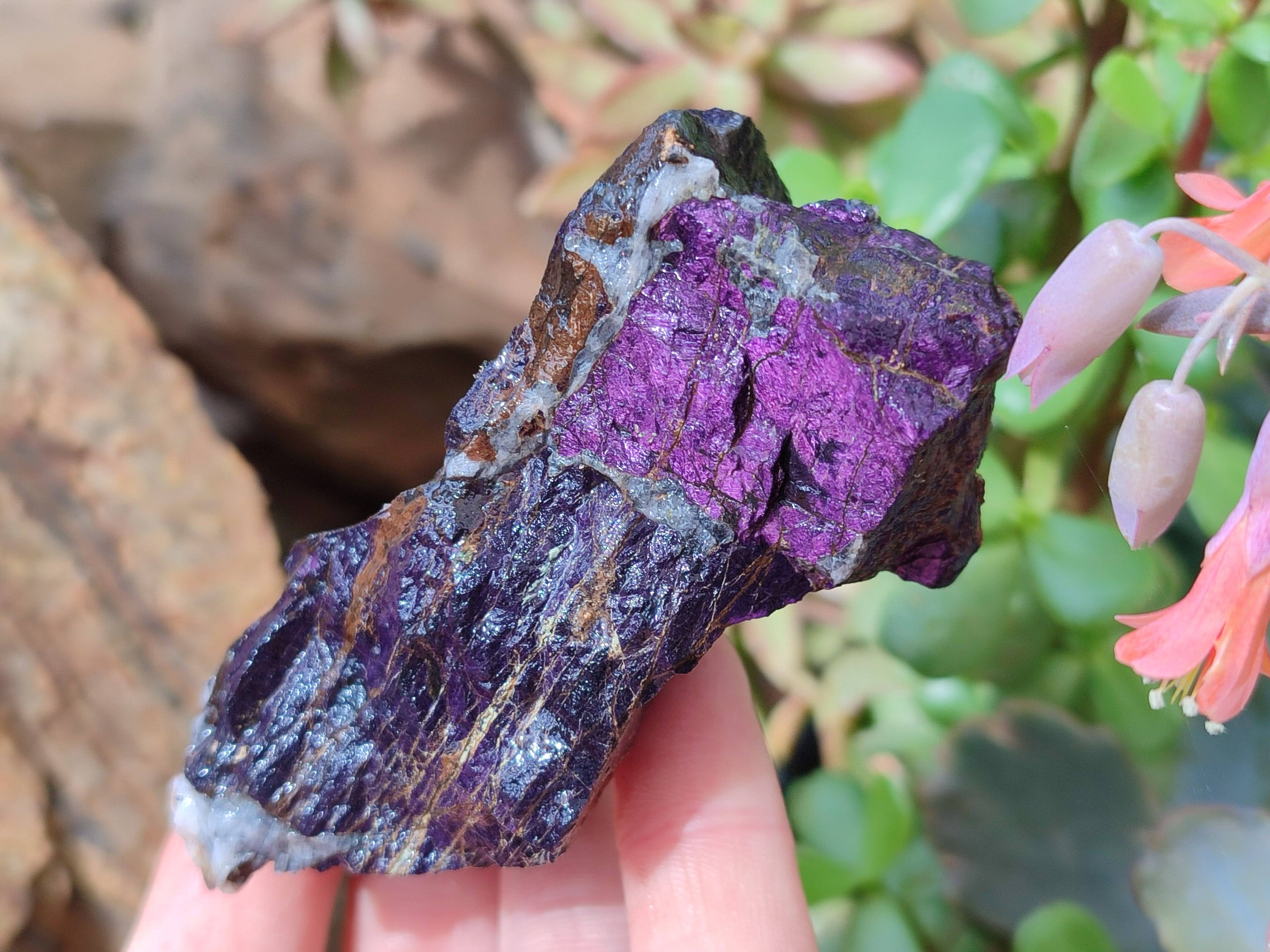 Natural Metallic Purpurite Specimens x 12 From Erongo, Namibia - Toprock Gemstones and Minerals 