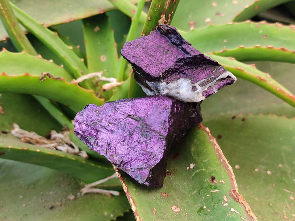 Natural Metallic Purpurite Specimens x 12 From Erongo, Namibia - Toprock Gemstones and Minerals 