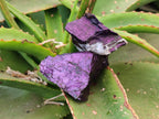 Natural Metallic Purpurite Specimens x 12 From Erongo, Namibia - Toprock Gemstones and Minerals 