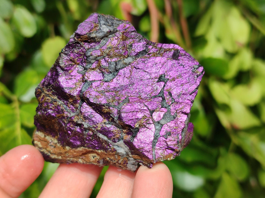 Natural Metallic Purpurite Specimens x 12 From Erongo, Namibia - Toprock Gemstones and Minerals 