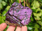 Natural Metallic Purpurite Specimens x 12 From Erongo, Namibia - Toprock Gemstones and Minerals 