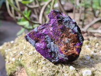 Natural Metallic Purpurite Specimens x 12 From Erongo, Namibia - Toprock Gemstones and Minerals 