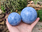 Polished Blue Calcite Spheres x 2 From Madagascar - Toprock Gemstones and Minerals 