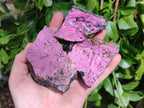 Natural Drusy Salrose on Dolomite Matrix Specimens x 6 From Kakanda, Congo - Toprock Gemstones and Minerals 