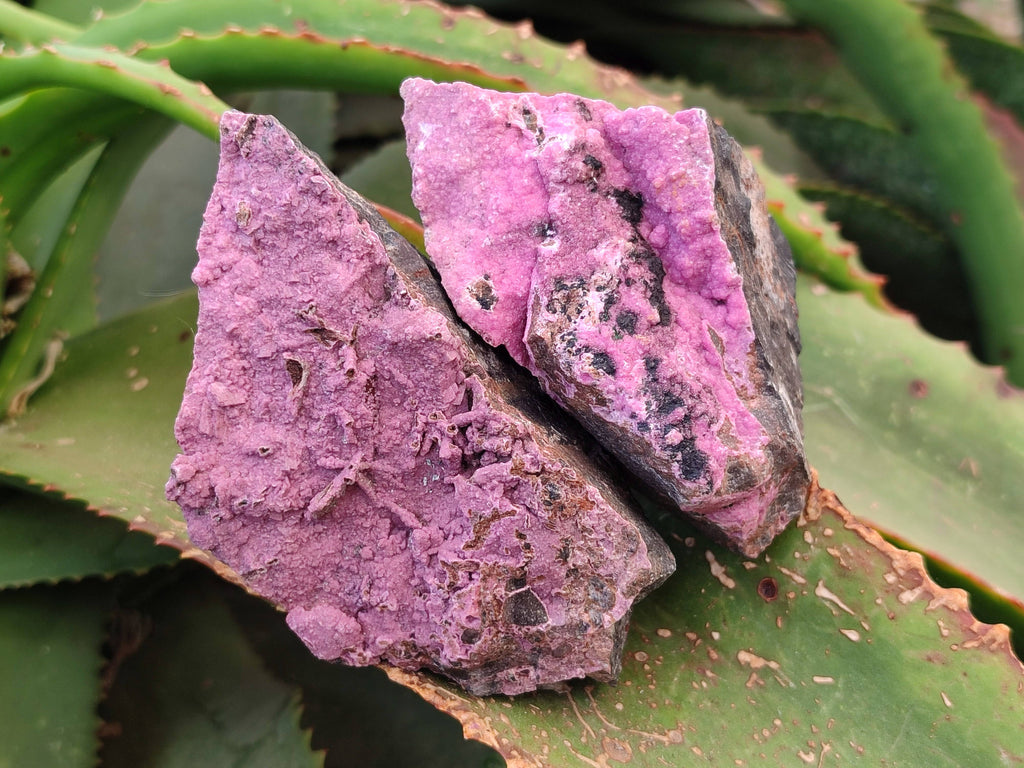Natural Drusy Salrose on Dolomite Matrix Specimens x 6 From Kakanda, Congo - Toprock Gemstones and Minerals 