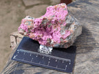 Natural Drusy Salrose on Dolomite Matrix Specimens x 6 From Kakanda, Congo - Toprock Gemstones and Minerals 