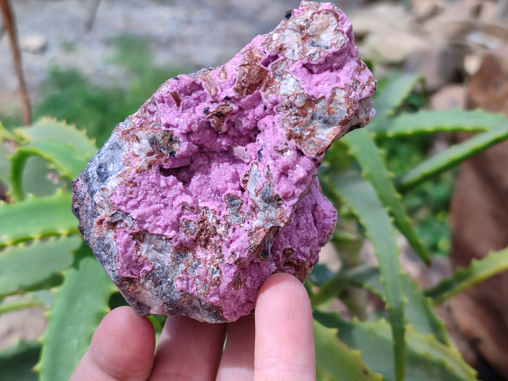 Natural Drusy Salrose on Dolomite Matrix Specimens x 6 From Kakanda, Congo - Toprock Gemstones and Minerals 