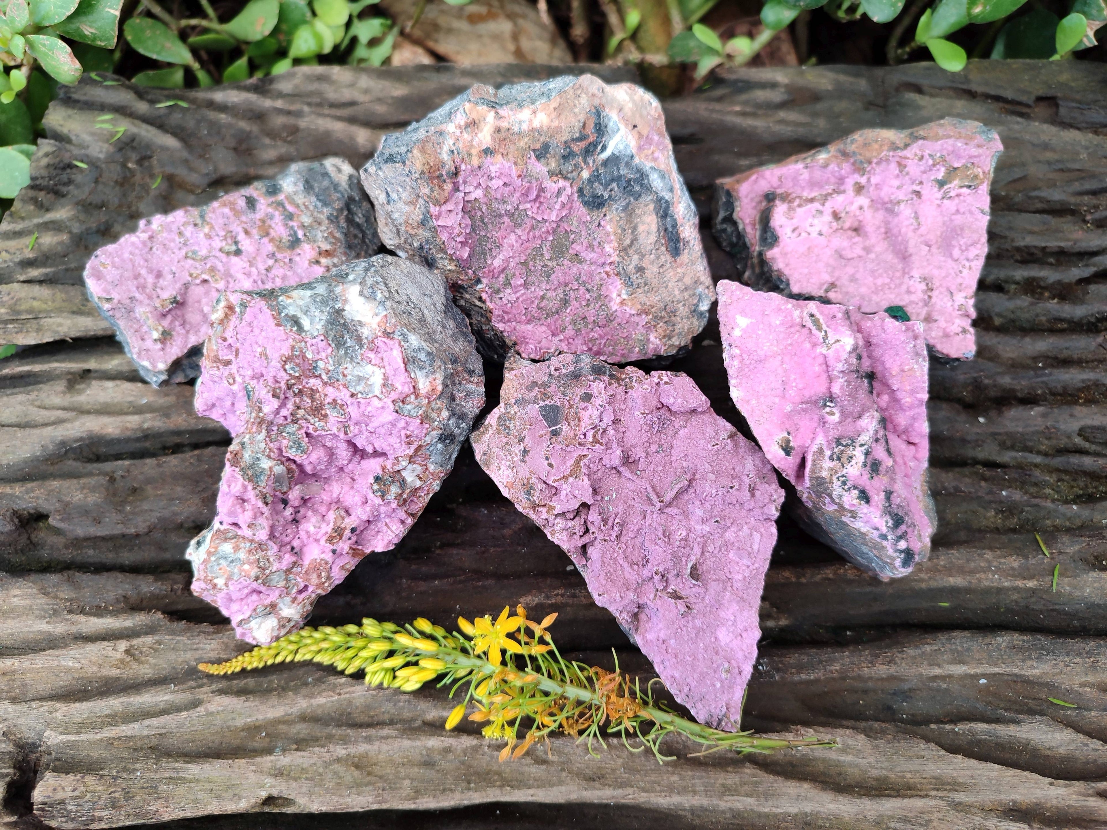 Natural Drusy Salrose on Dolomite Matrix Specimens x 6 From Kakanda, Congo - Toprock Gemstones and Minerals 