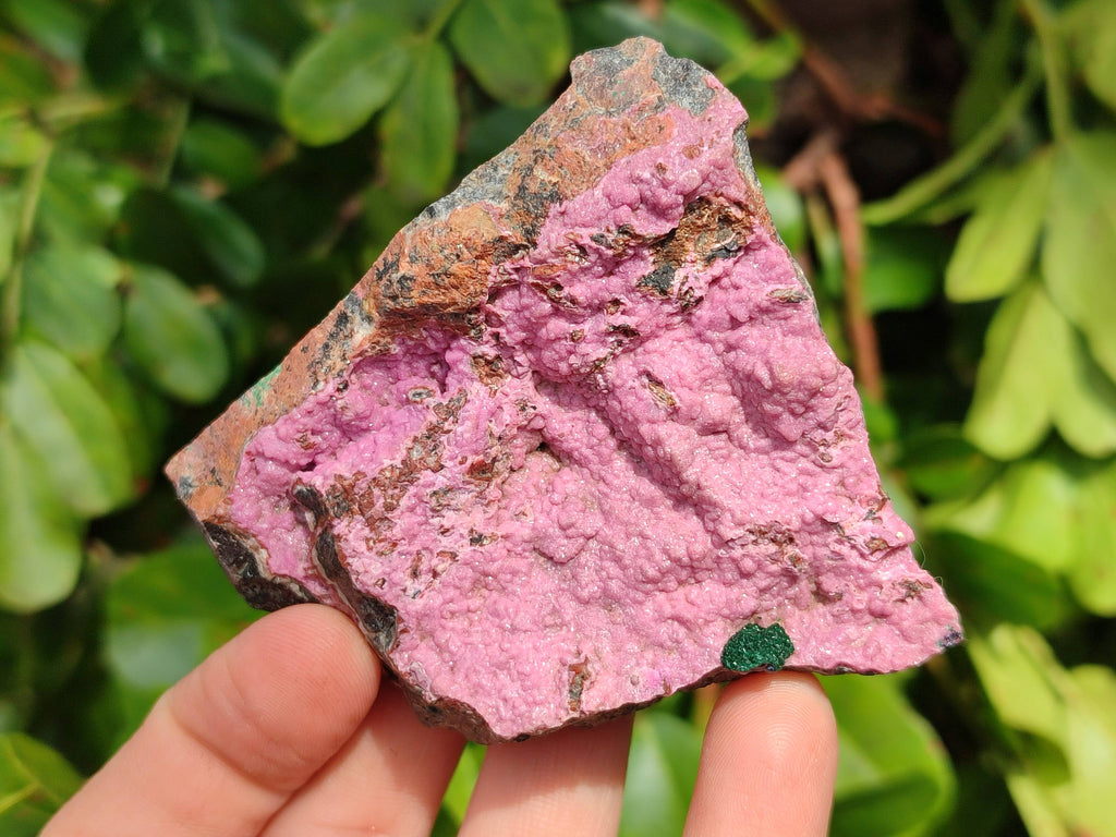 Natural Drusy Salrose on Dolomite Matrix Specimens x 6 From Kakanda, Congo - Toprock Gemstones and Minerals 