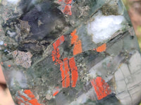 Polished Bloodstone Standing Free Forms x 2 From Swaziland