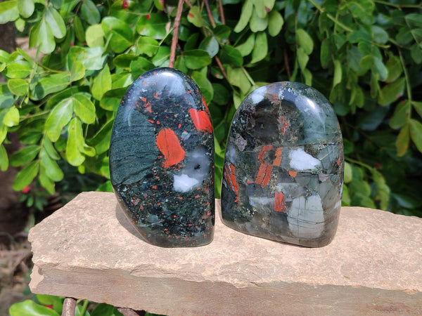 Polished Bloodstone Standing Free Forms x 2 From Swaziland
