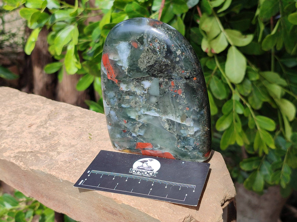 Polished Bloodstone Standing Free Forms x 2 From Swaziland - Toprock Gemstones and Minerals 