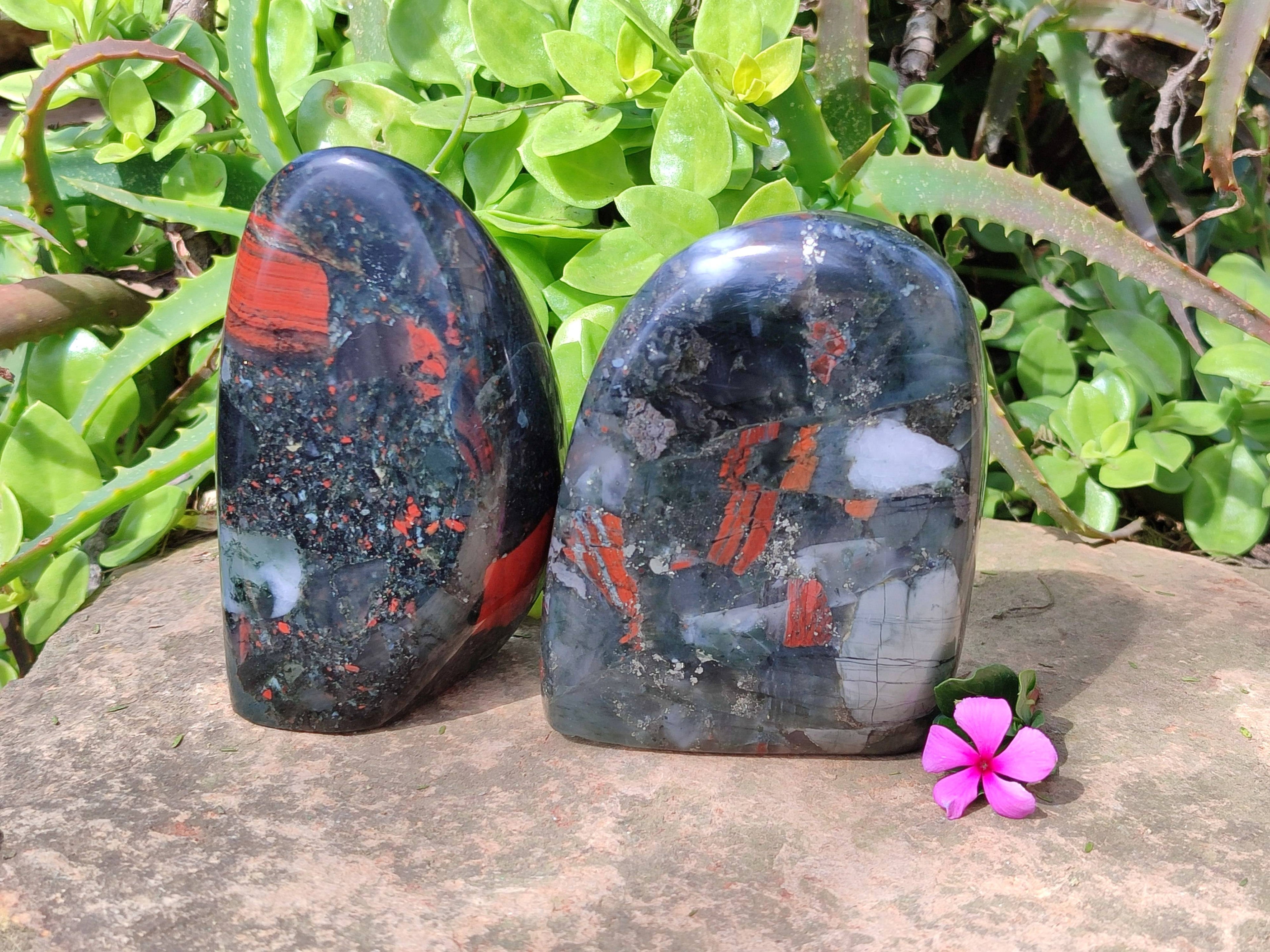 Polished Bloodstone Standing Free Forms x 2 From Swaziland - Toprock Gemstones and Minerals 