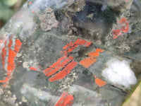 Polished Bloodstone Standing Free Forms x 2 From Swaziland