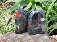 Polished Bloodstone Standing Free Forms x 2 From Swaziland