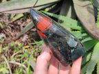 Polished Bloodstone Standing Free Forms x 2 From Swaziland - Toprock Gemstones and Minerals 