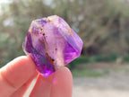 Polished Window Amethyst Crystals x 12 From Madagascar - Toprock Gemstones and Minerals 